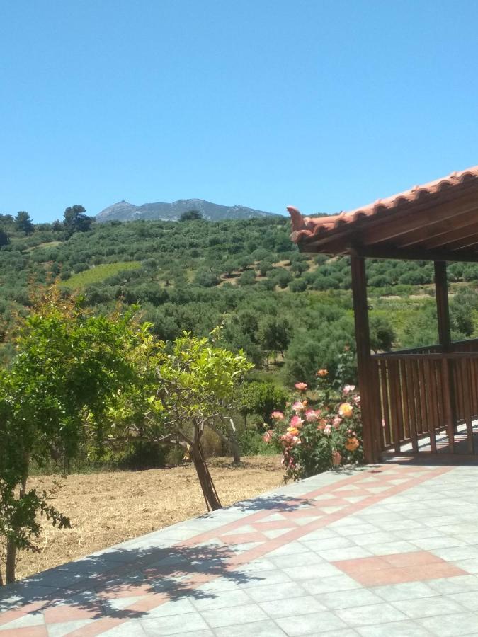 Eden Garden Villa Skalanion Dış mekan fotoğraf