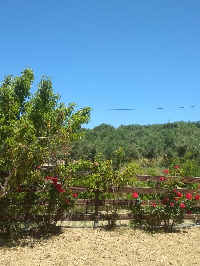 Eden Garden Villa Skalanion Dış mekan fotoğraf