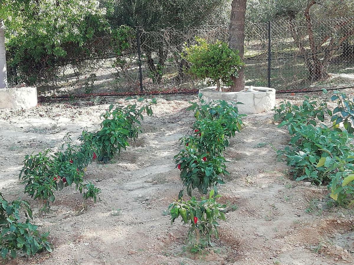 Eden Garden Villa Skalanion Dış mekan fotoğraf